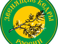 Звенящие_кедры_России_(лого).svg