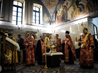 36311721524_97c6f173fe_o