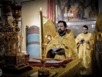 36439007704_aafdd5cc61_o