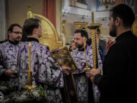 36666910003_3db6ebc216_b