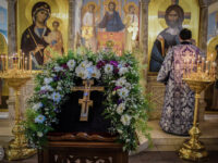 36677933373_cf68bfcafe_o