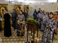 37416044001_e881854368_b