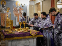 36715174944_c888b58a9a_o