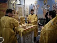 37848610511_d3e7c56bb8_k