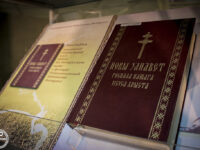 38382611566_746fcb9246_b