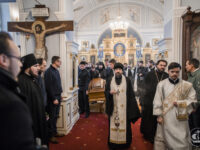 38577807584_f56cd54a6e_b