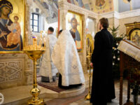 24693731247_a11f2df919_b