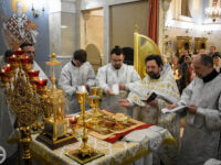 27777663869_3e49cc9556_k (1)