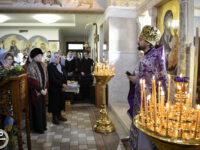 214F650A-F669-41CE-A88C-E89E445DDDC8