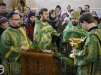 39343922340_a33aba347d_o