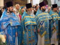 долгополов