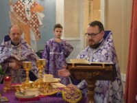 48812497433_e869baa472_o