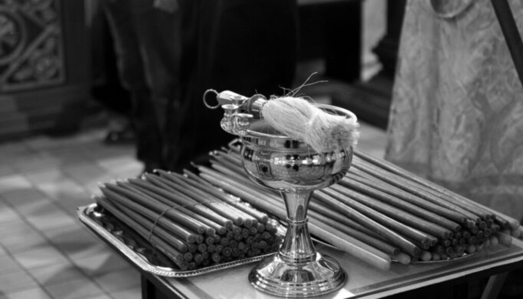 _DSC0475