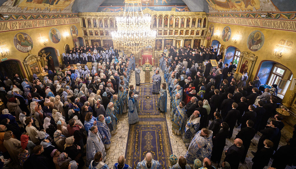 54854317866_b52dc887c9_b