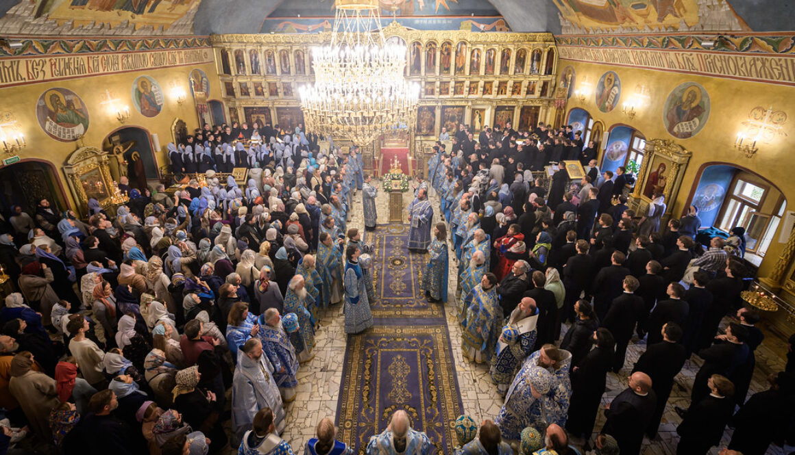 54854317866_b52dc887c9_b